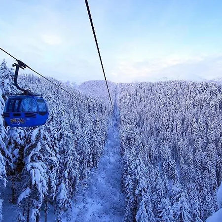 Green Life Bansko, 1 Bedroom Private Apartment D4 Dış mekan fotoğraf