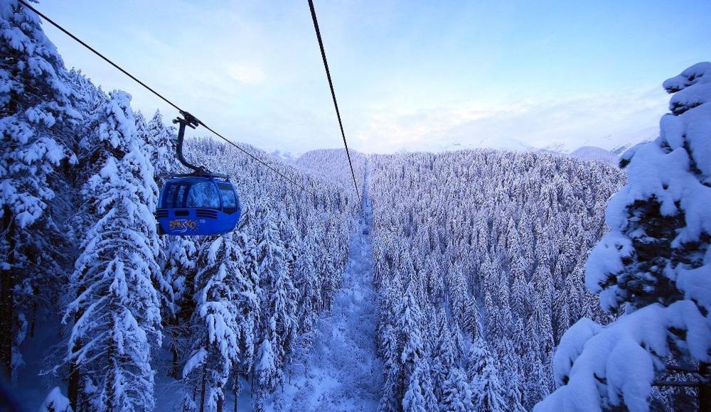Life Bansko, 1 Bedroom Private D4 *